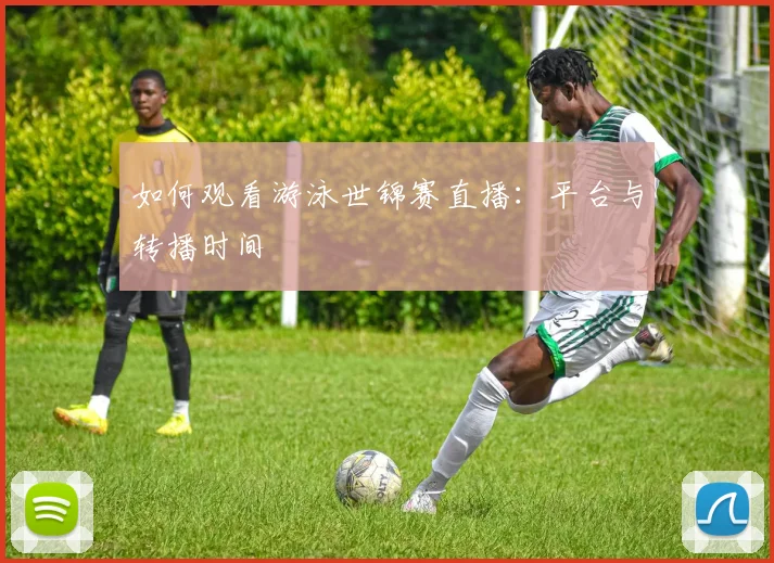 如何观看游泳世锦赛直播：平台与转播时间