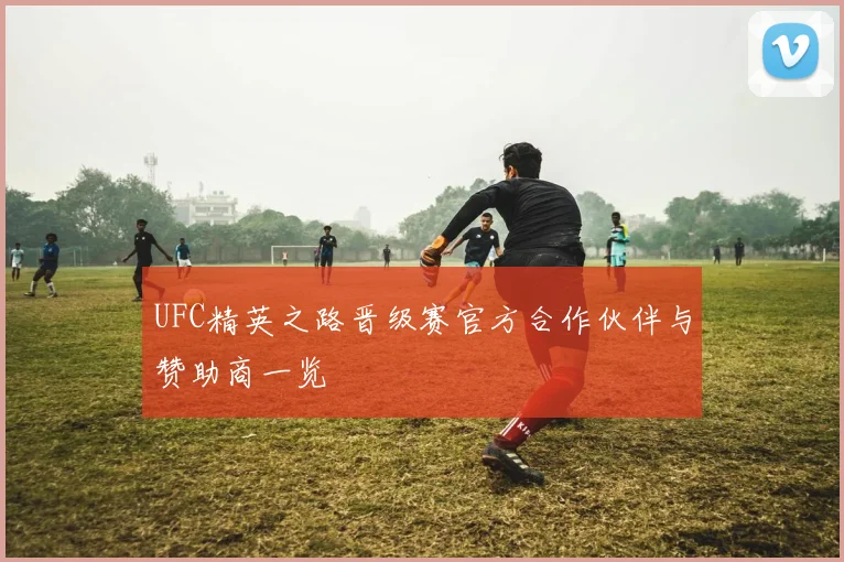 UFC精英之路晋级赛官方合作伙伴与赞助商一览