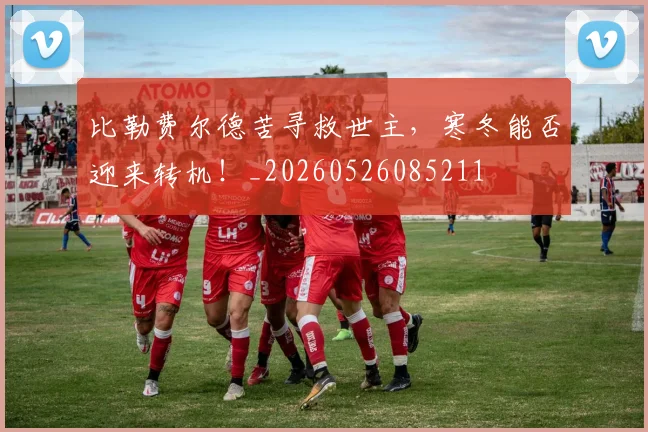 比勒费尔德苦寻救世主，寒冬能否迎来转机！_20260526085211